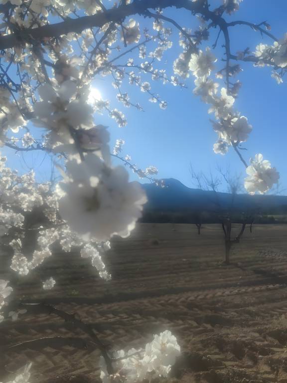 foto14