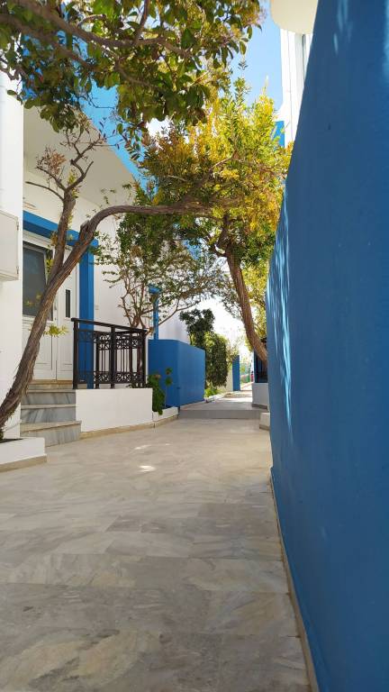 foto6