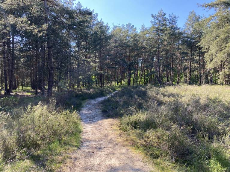 foto40