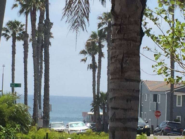 Cabin  Oceanside