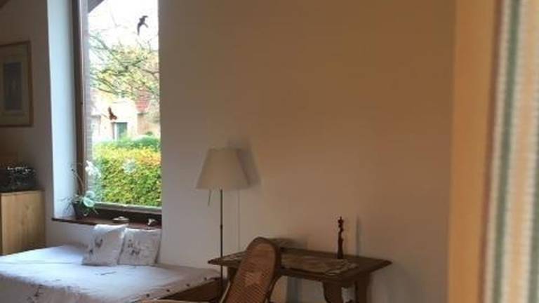 foto23