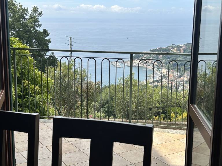foto14