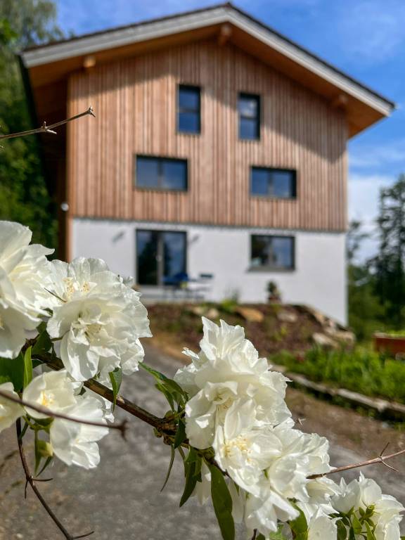 foto20