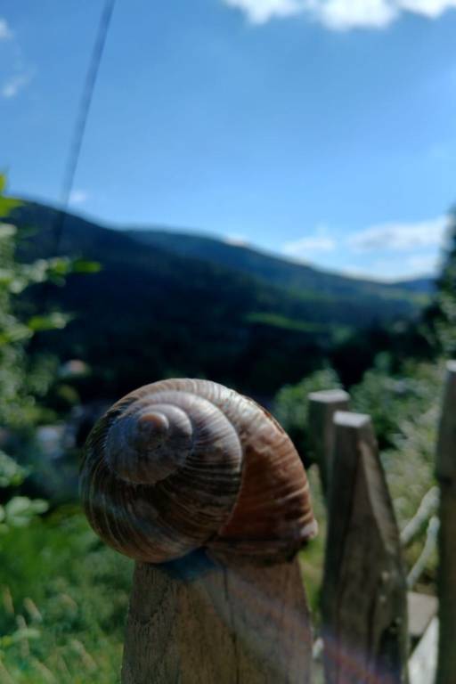 foto17