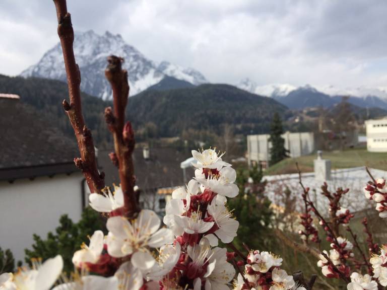 foto13