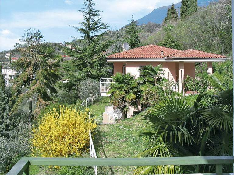 foto12