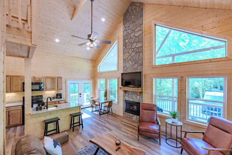 Cabin  Bryson City