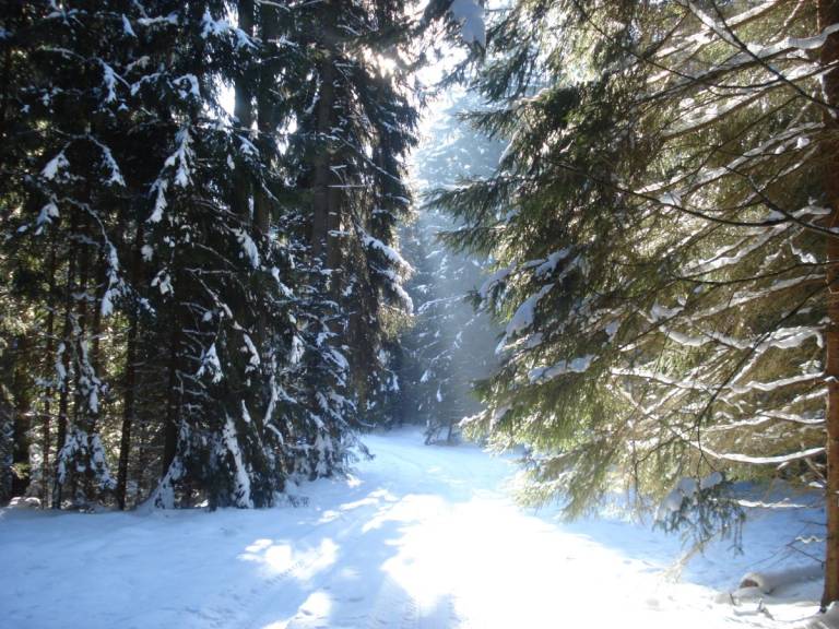 foto48