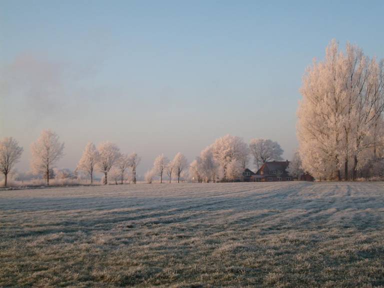 foto7