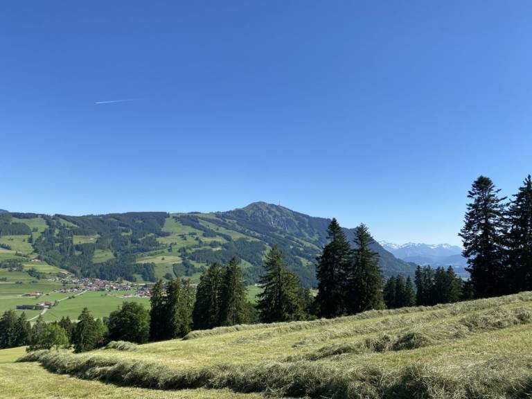 foto18