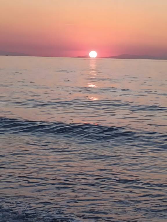 foto37