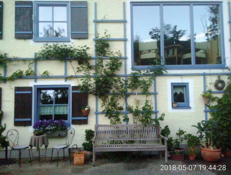 foto11
