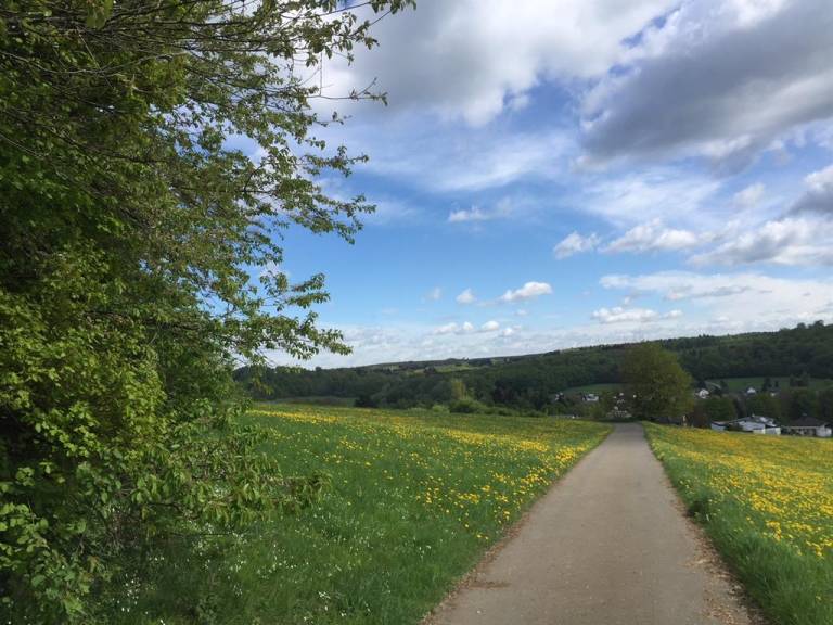 foto21