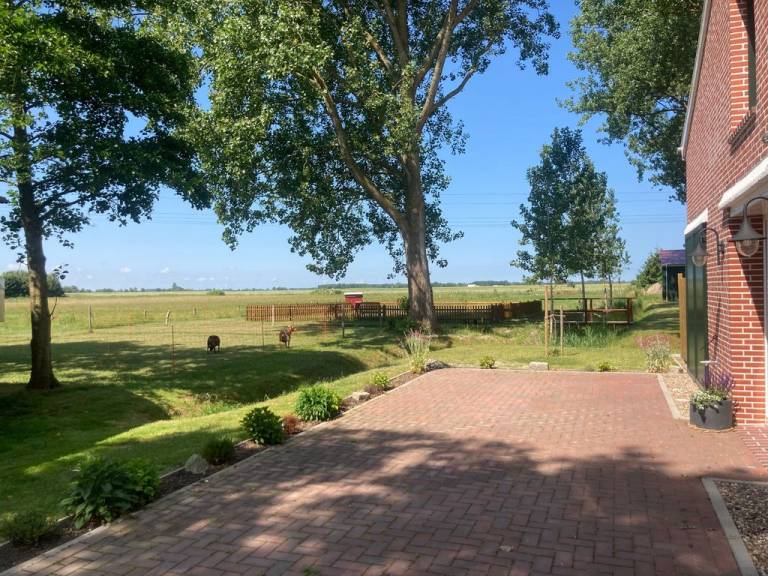 foto9