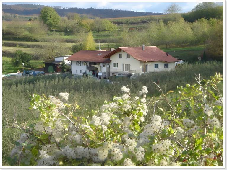 foto18