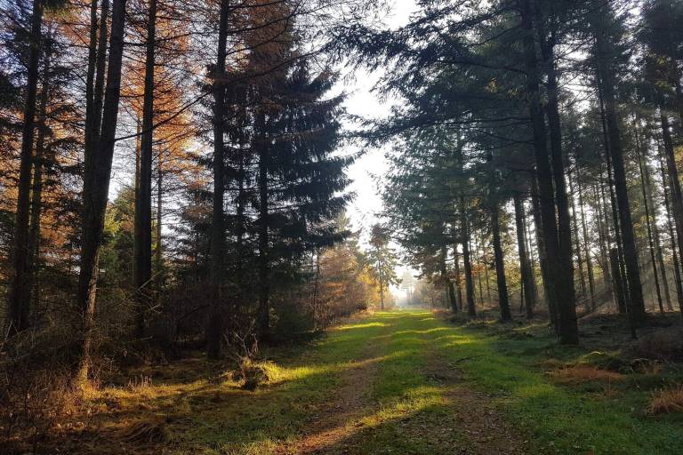 foto20