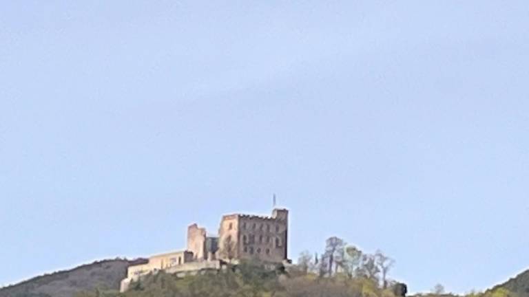 foto7