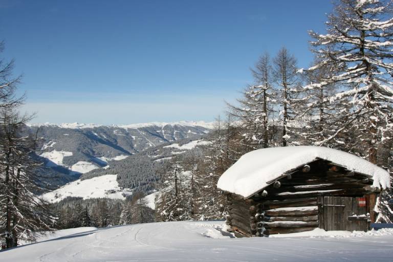 foto19
