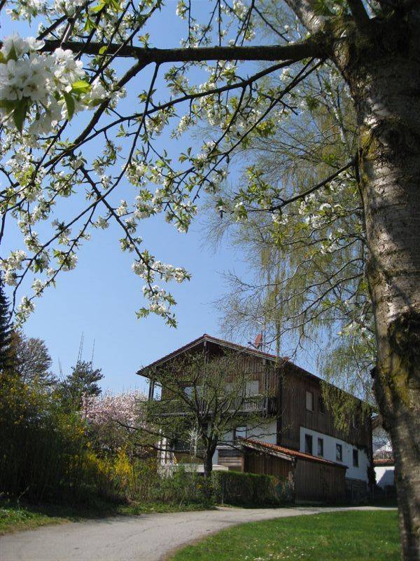 foto11