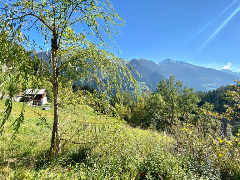 foto19