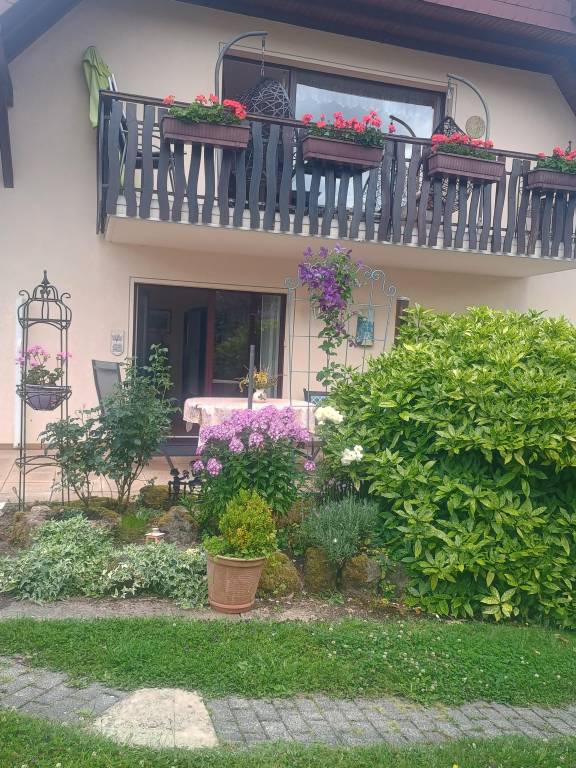 foto46