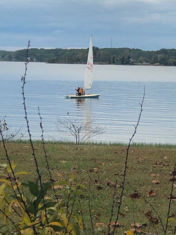 Cabin Reedville