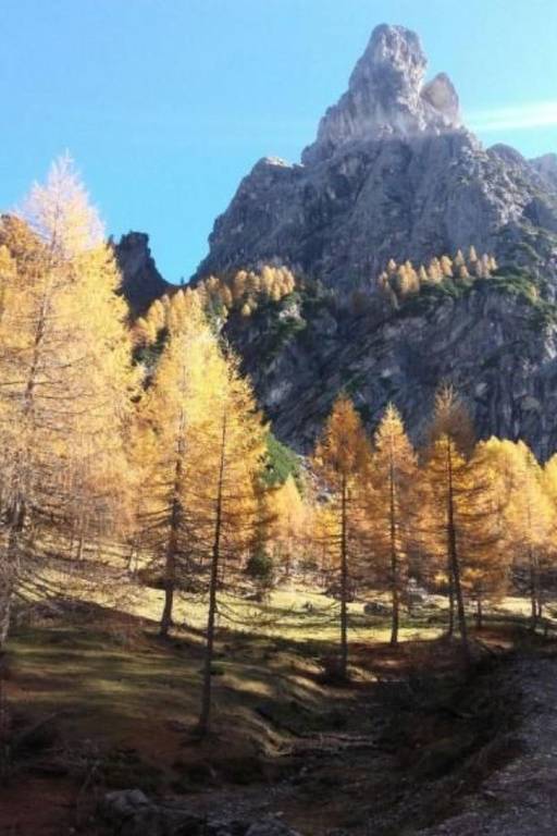 foto33