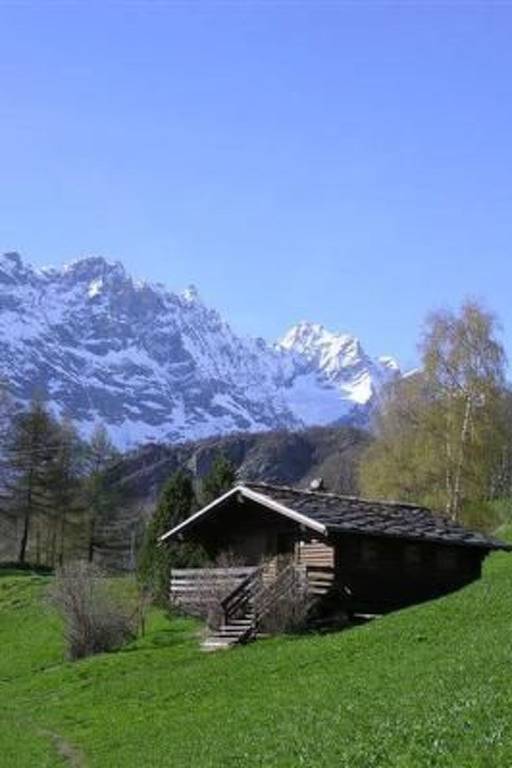 foto36