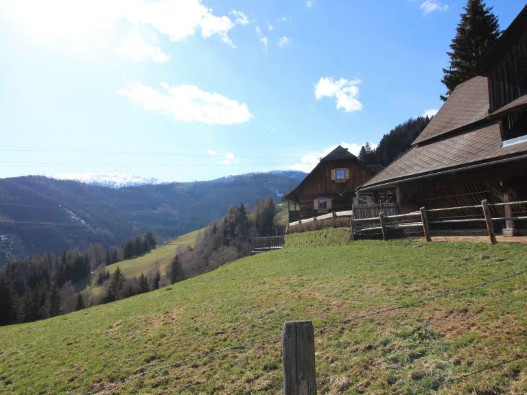foto64