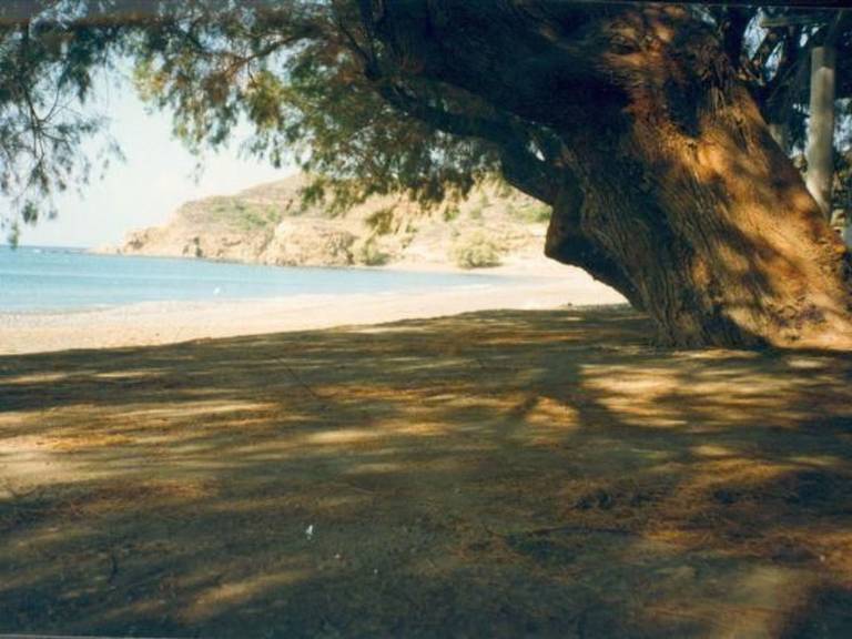 foto20