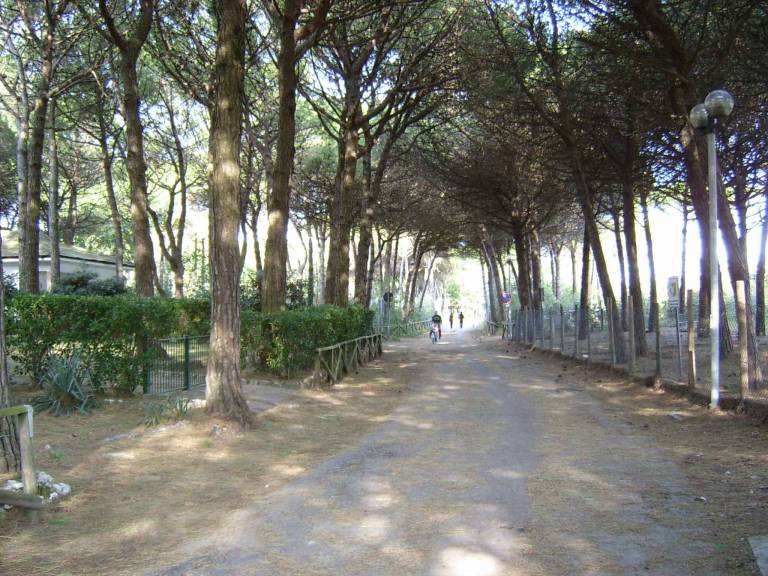 foto21