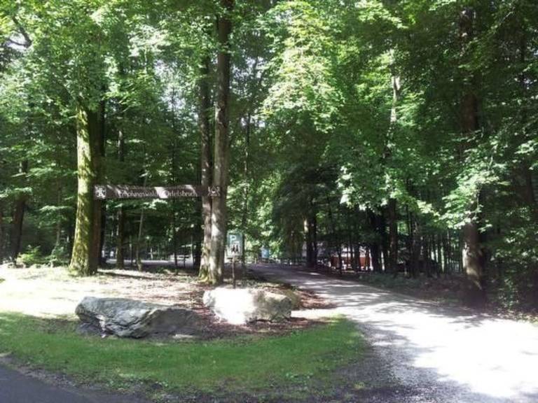 foto12