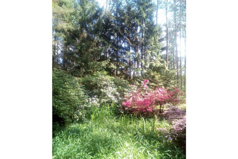 foto6