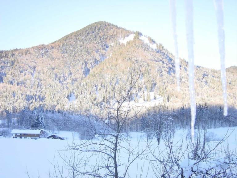 foto19
