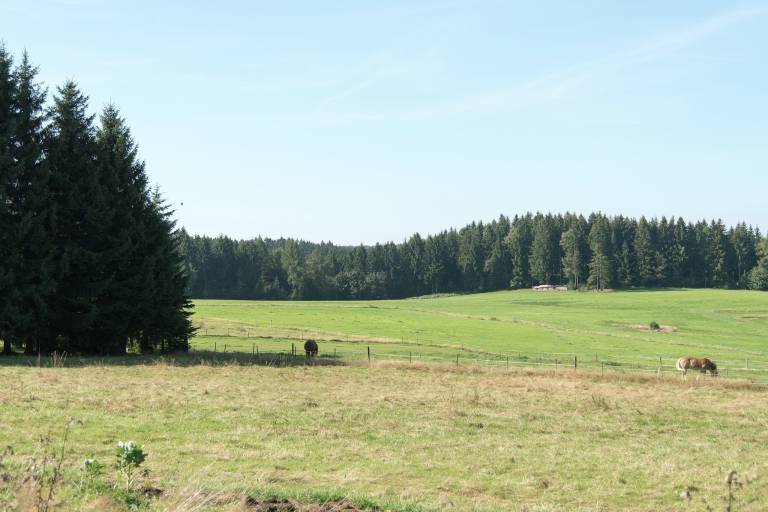 foto21