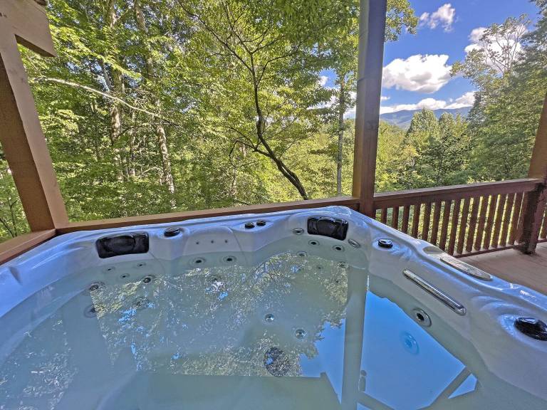 Cabin Bryson City