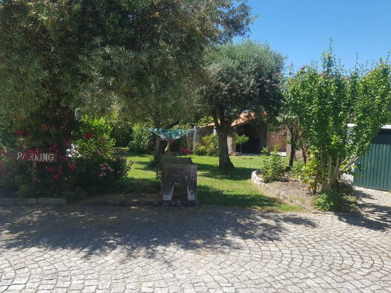 foto16