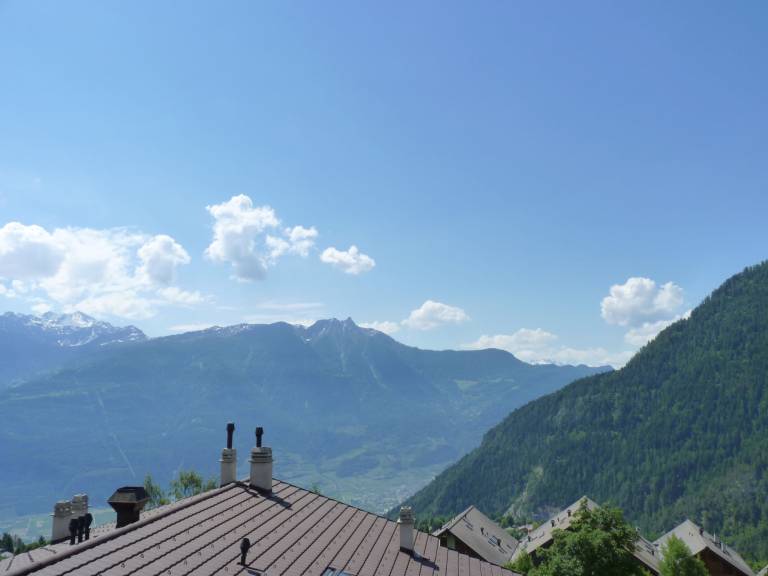 foto19