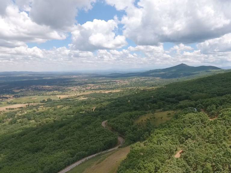 foto42