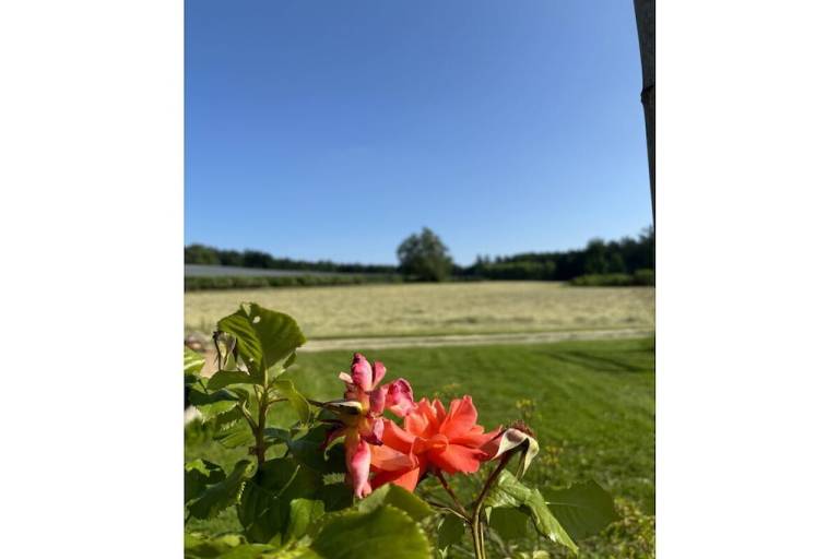 foto25