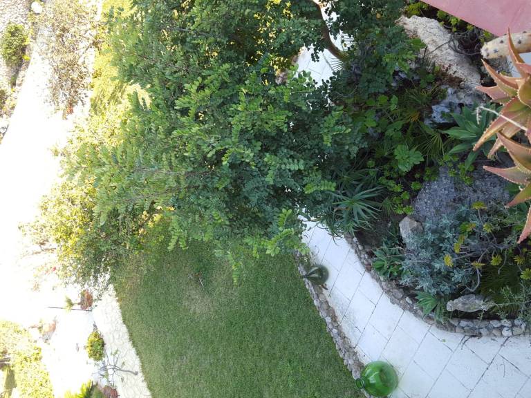 foto5