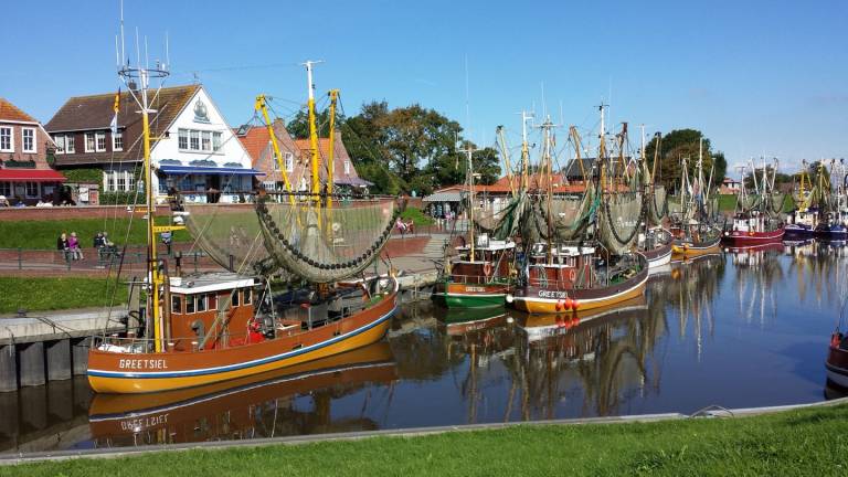 foto33