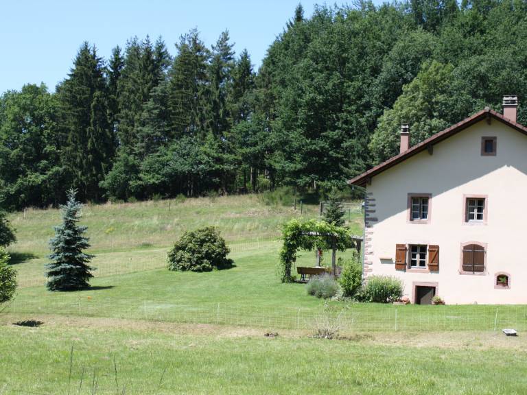 foto34