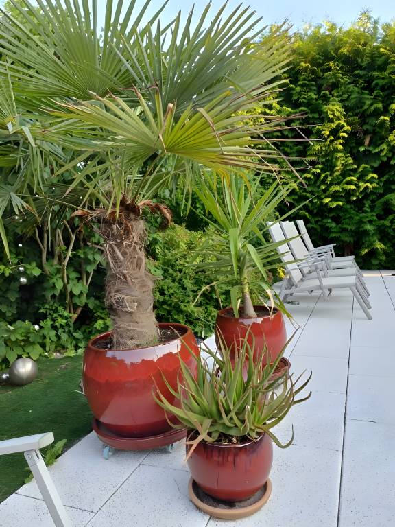 foto23