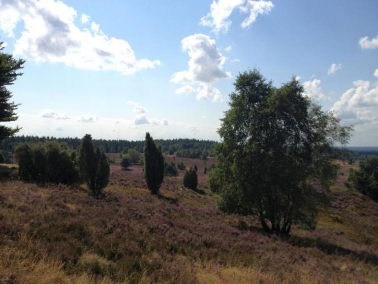 foto2