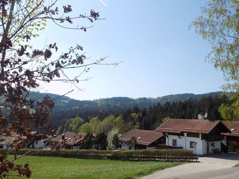 foto14