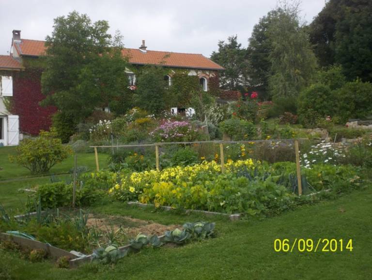 foto16