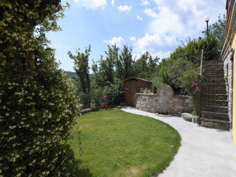 foto5