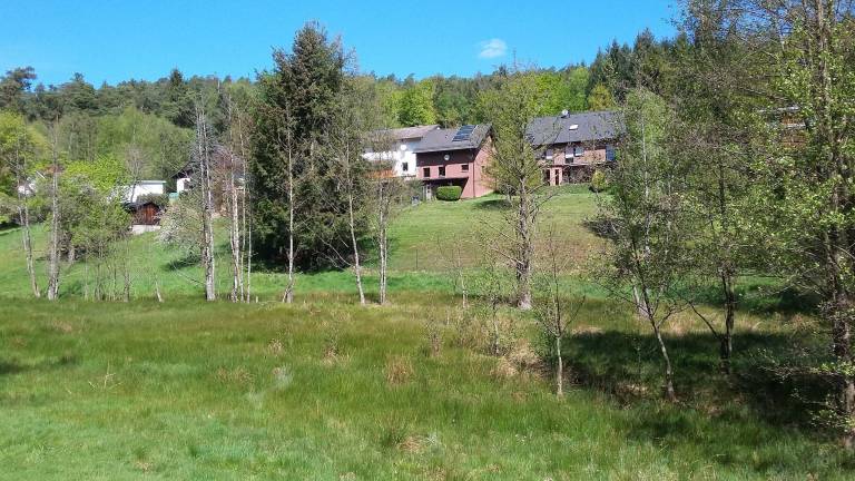 foto6