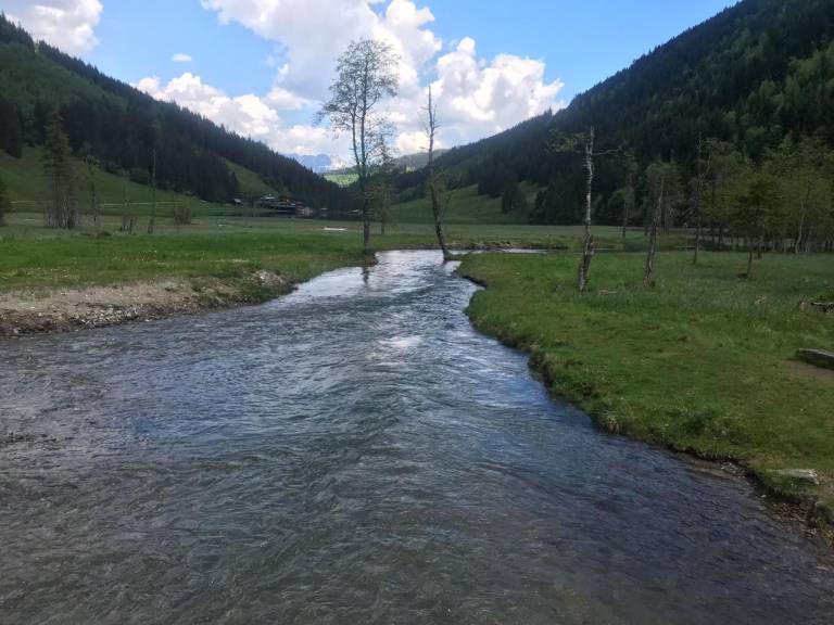 foto50